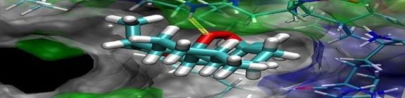 Supercomputing Facility For Bioinformatics & Computational Biology, IIT ...