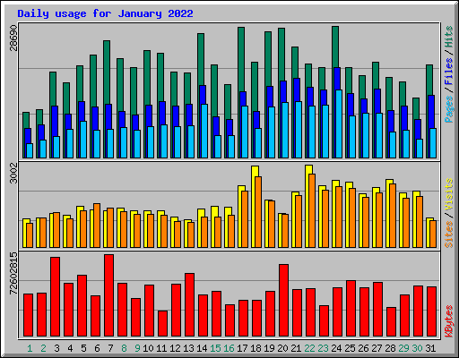 Daily usage for January 2022