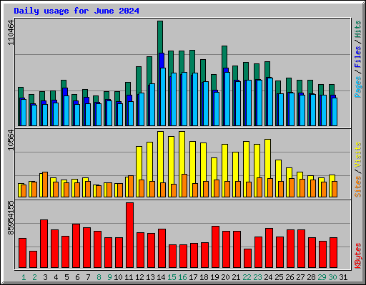 Daily usage for June 2024