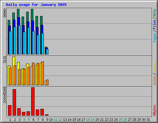 Daily usage for January 2025