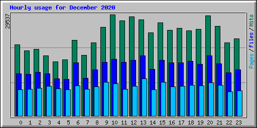 Hourly usage for December 2020