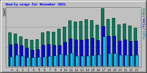 Hourly usage for November 2021