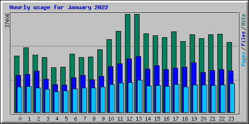 Hourly usage for January 2022