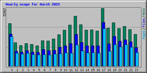 Hourly usage for March 2022