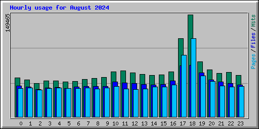 Hourly usage for August 2024