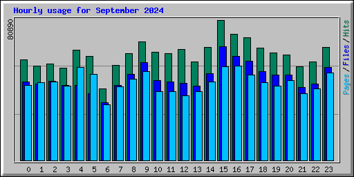 Hourly usage for September 2024