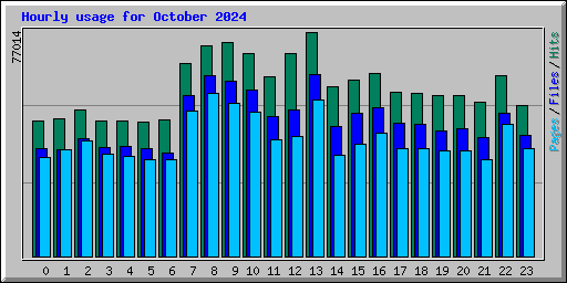 Hourly usage for October 2024