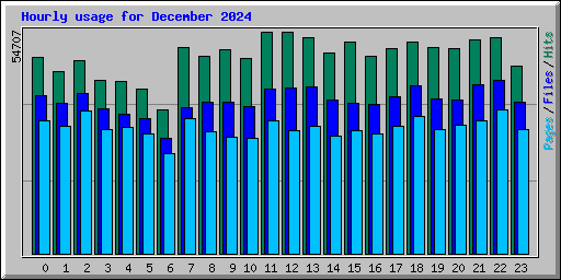 Hourly usage for December 2024