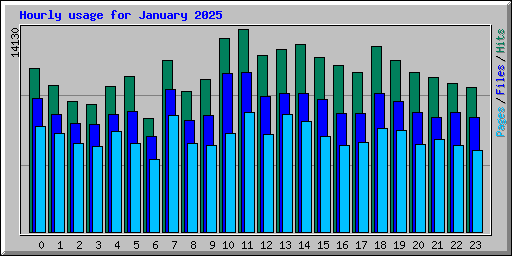 Hourly usage for January 2025