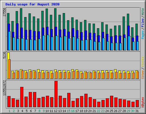 Daily usage for August 2020