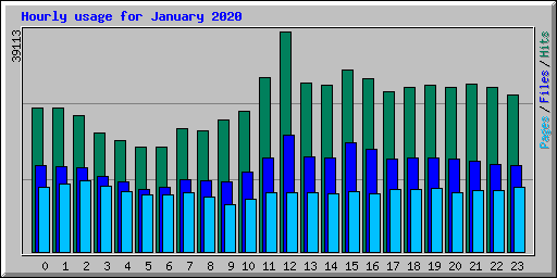 Hourly usage for January 2020