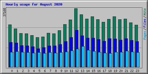 Hourly usage for August 2020