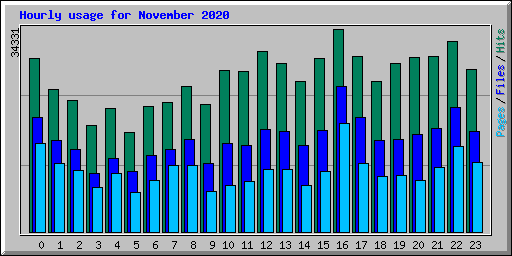 Hourly usage for November 2020