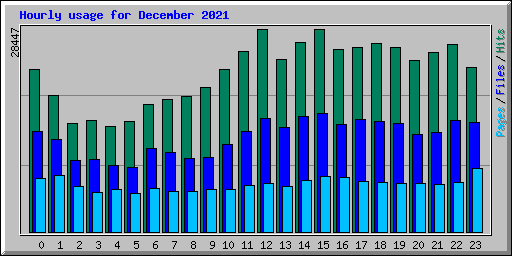 Hourly usage for December 2021