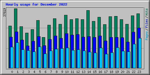 Hourly usage for December 2022