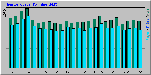 Hourly usage for May 2025