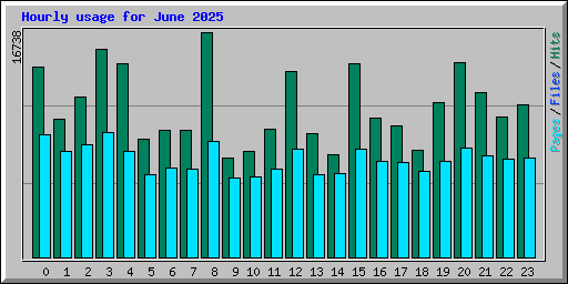 Hourly usage for June 2025