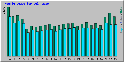 Hourly usage for July 2025