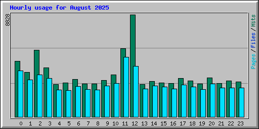 Hourly usage for August 2025