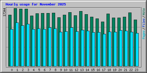 Hourly usage for November 2025