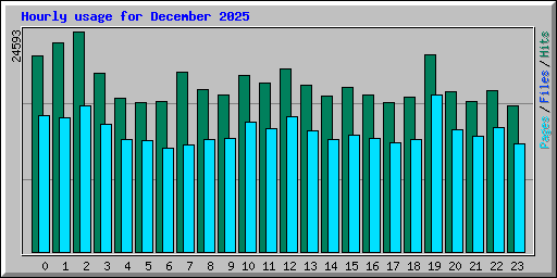 Hourly usage for December 2025