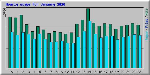 Hourly usage for January 2026