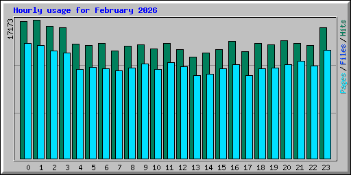 Hourly usage for February 2026