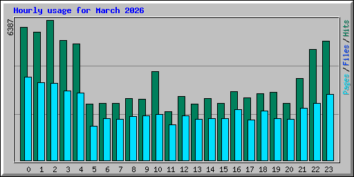 Hourly usage for March 2026