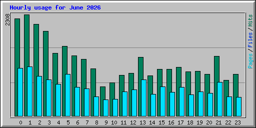 Hourly usage for June 2026