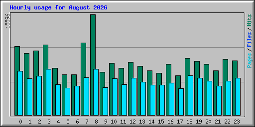 Hourly usage for August 2026